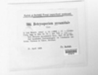 Image Associated With the Occurence